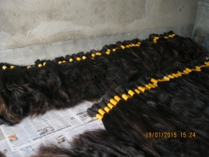 Manufacturers Exporters and Wholesale Suppliers of Natural Human Hair MURSHIDABAD West Bengal